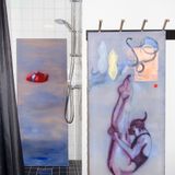 Installation Shower Room